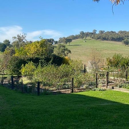 Apartmán Mount Hope Estate Vineyard Dixons Creek Exteriér fotografie