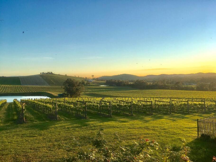 Apartmán Mount Hope Estate Vineyard Dixons Creek Exteriér fotografie